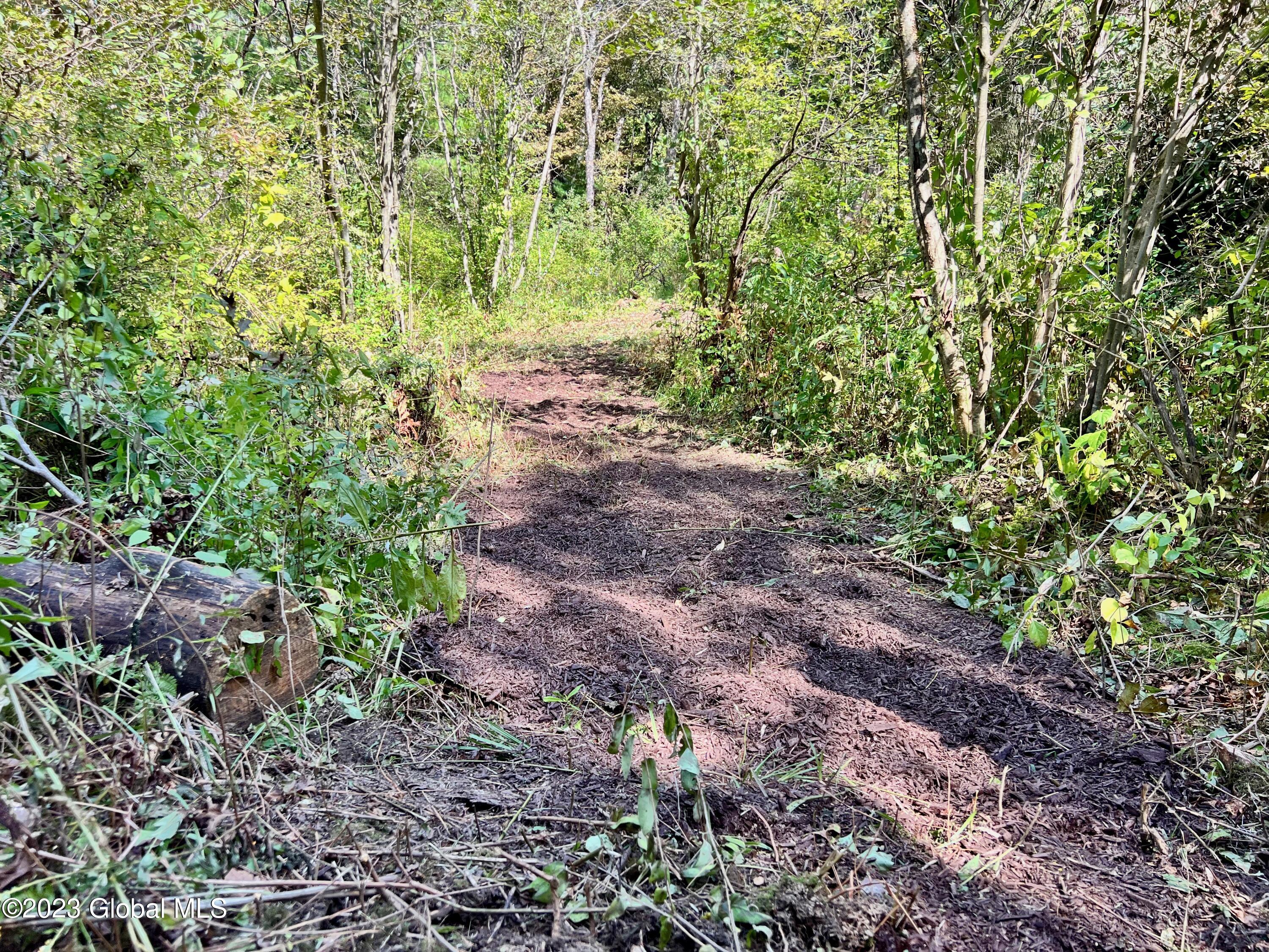 0 Pickle Hill Road Queensbury, NY 12804 - Photo 32 of 48 IMG_1559