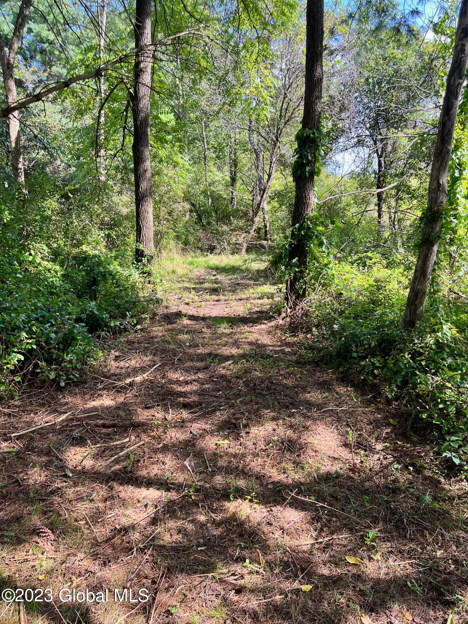 0 Pickle Hill Road Queensbury, NY 12804 - Photo 33 of 48 IMG_1599