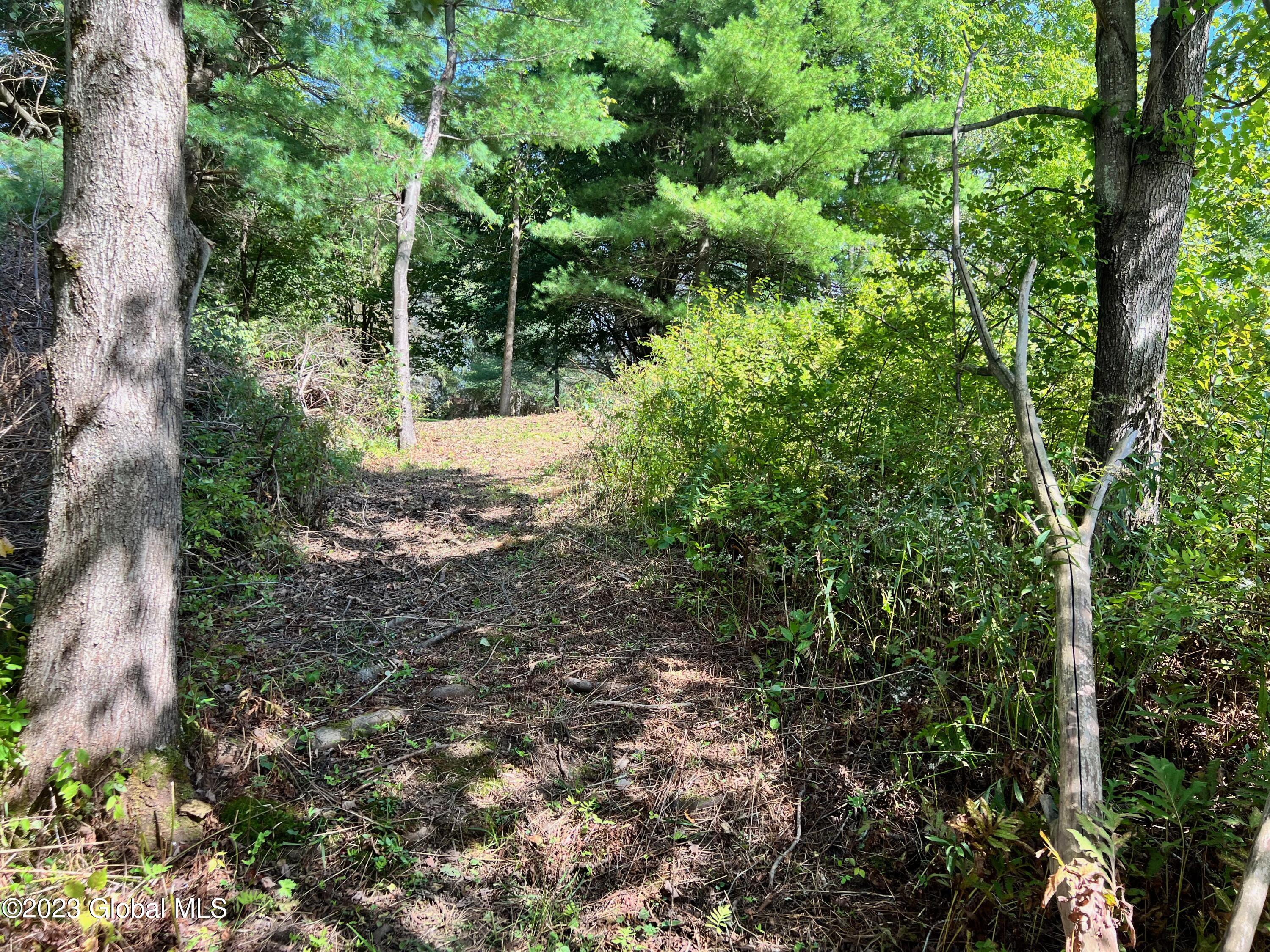 0 Pickle Hill Road Queensbury, NY 12804 - Photo 34 of 48 IMG_1607