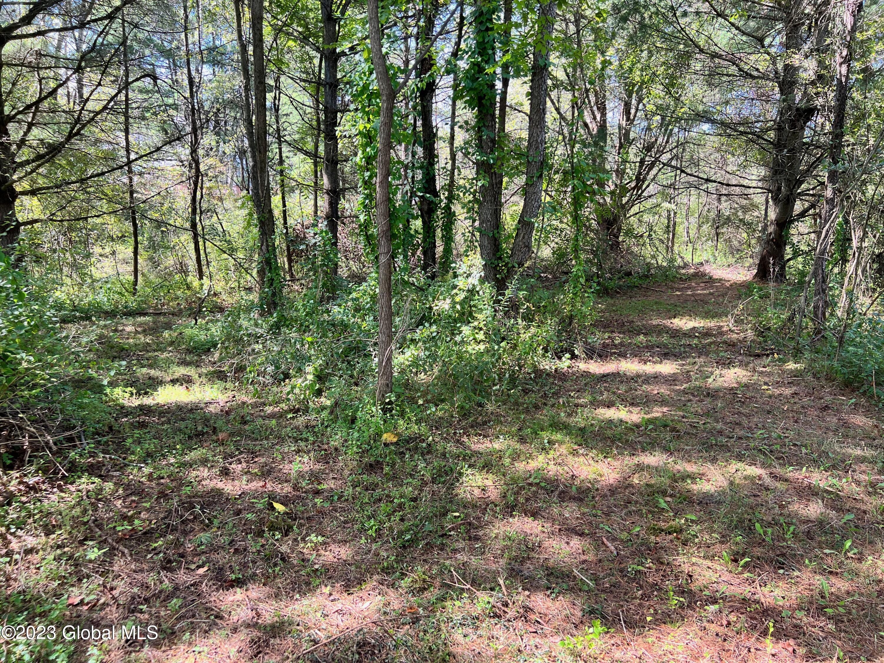 0 Pickle Hill Road Queensbury, NY 12804 - Photo 35 of 48 IMG_1601