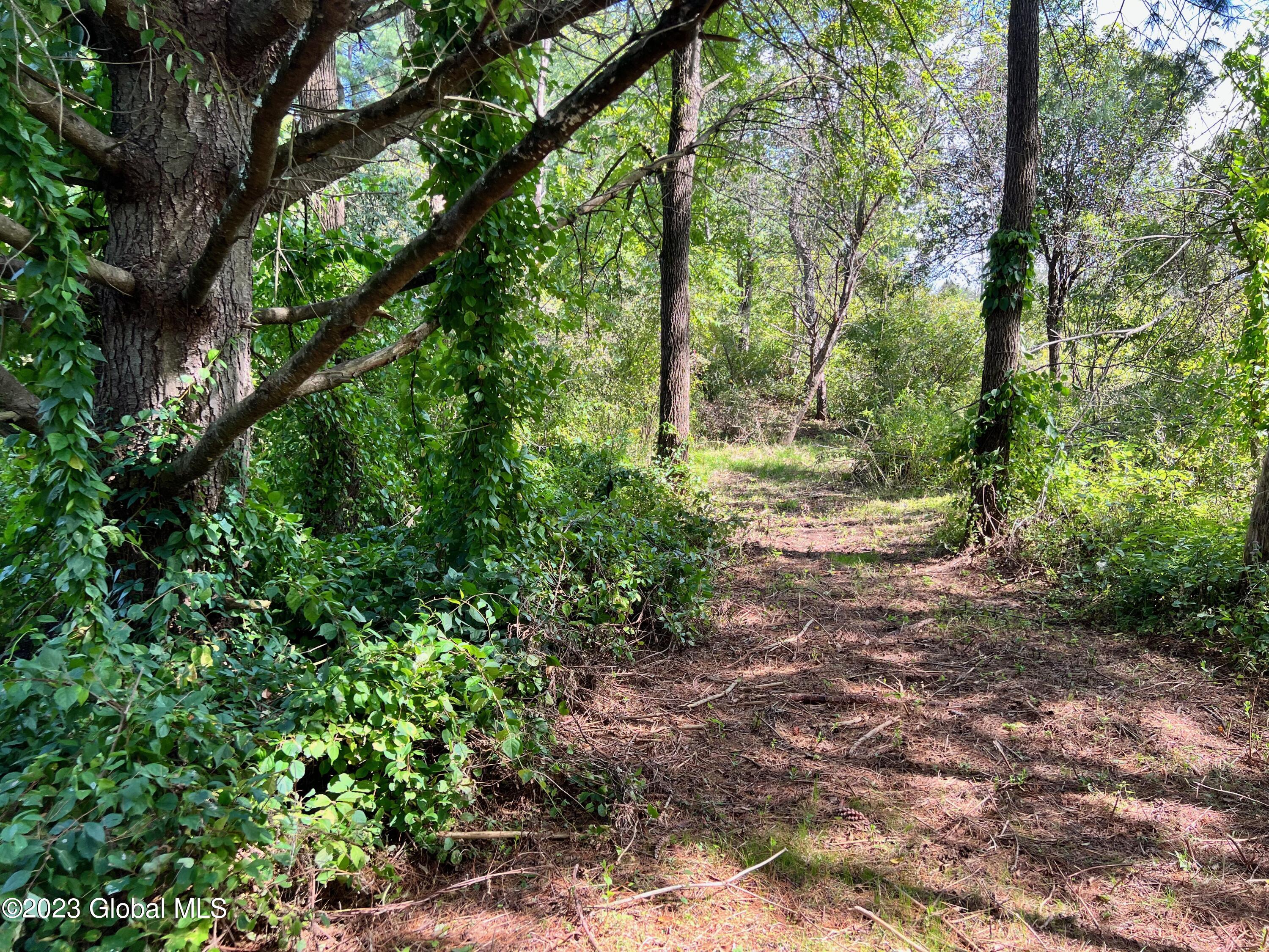 0 Pickle Hill Road Queensbury, NY 12804 - Photo 36 of 48 IMG_1602