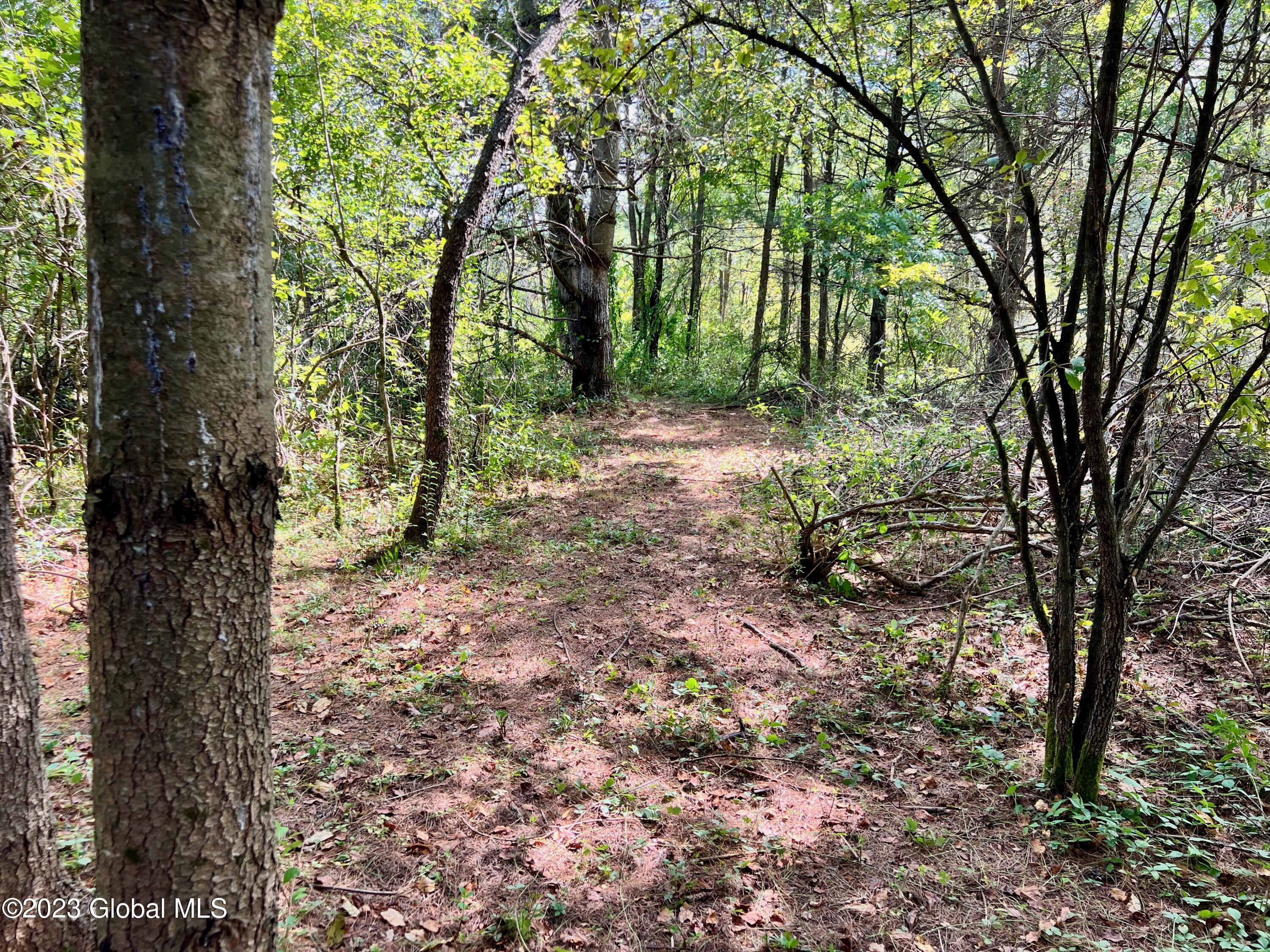 0 Pickle Hill Road Queensbury, NY 12804 - Photo 37 of 48 IMG_1567