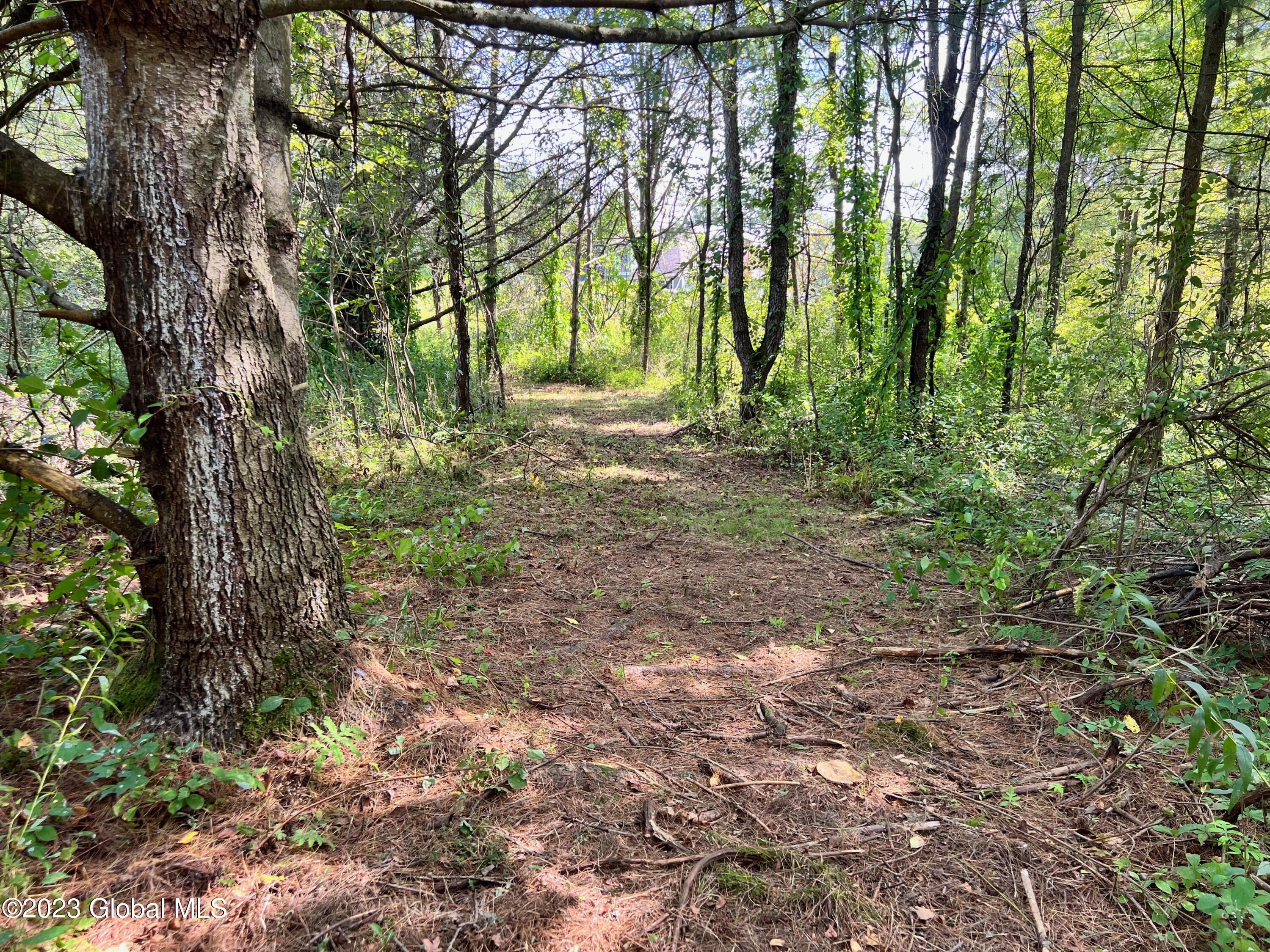 0 Pickle Hill Road Queensbury, NY 12804 - Photo 38 of 48 IMG_1595