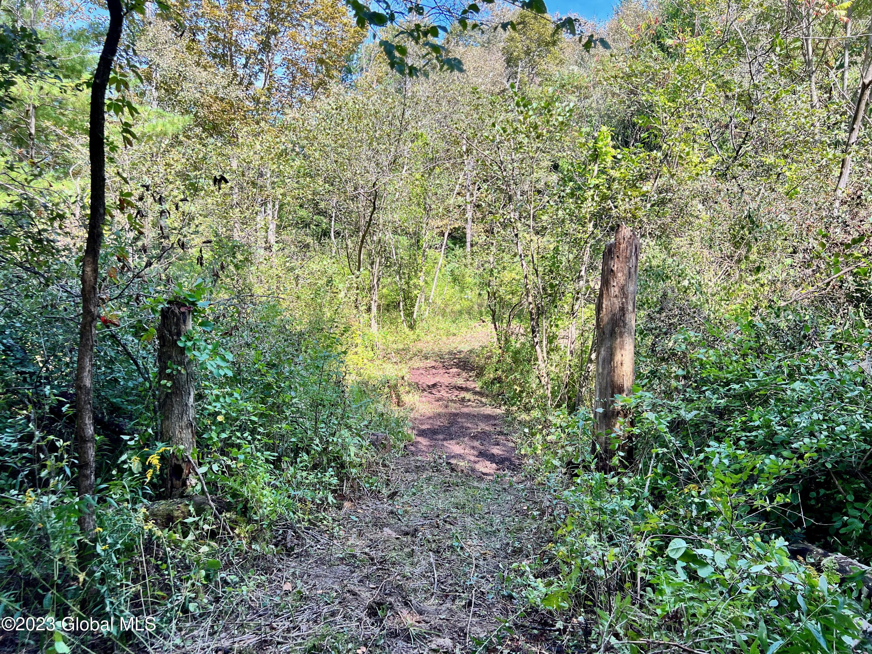 0 Pickle Hill Road Queensbury, NY 12804 - Photo 39 of 48 IMG_1561