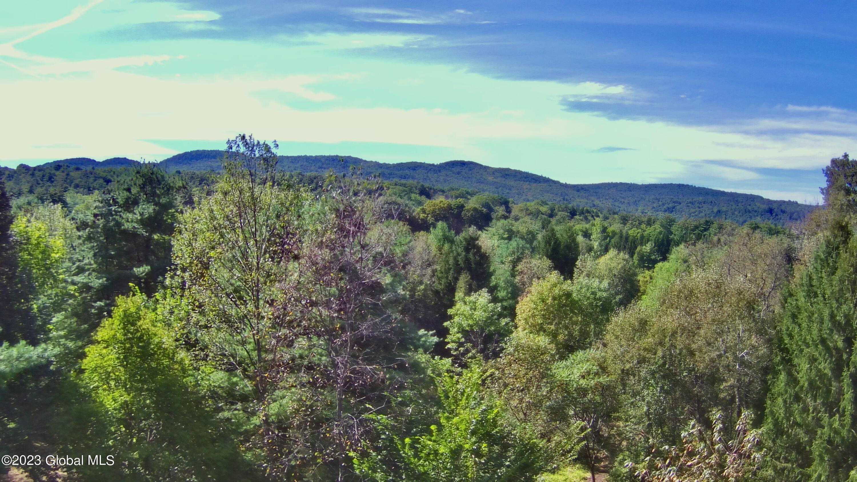 0 Pickle Hill Road Queensbury, NY 12804 - Photo 42 of 48 20230916-140946