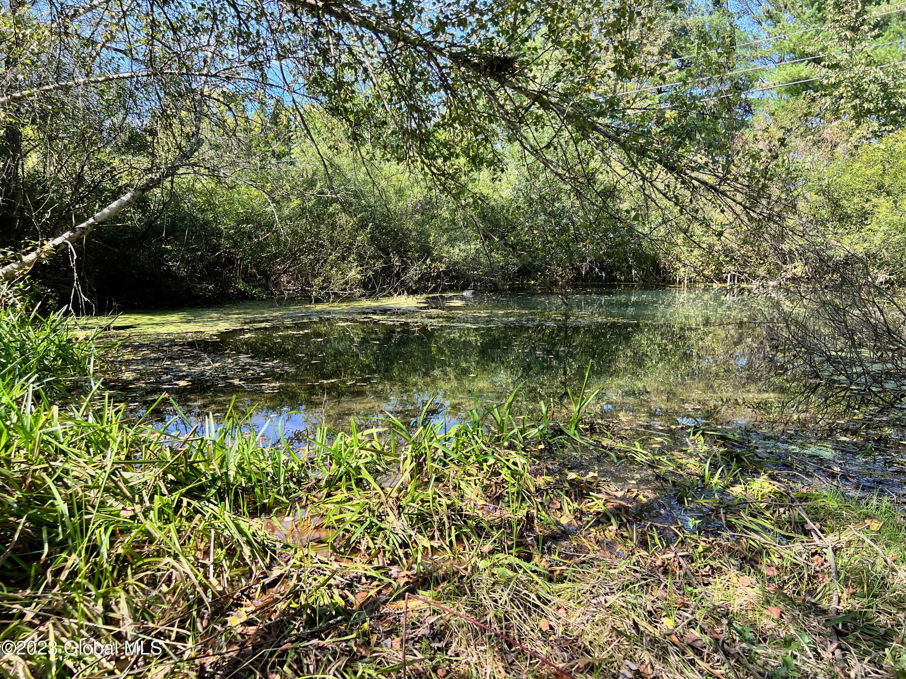 0 Pickle Hill Road Queensbury, NY 12804 - Photo 6 of 48 IMG_1575