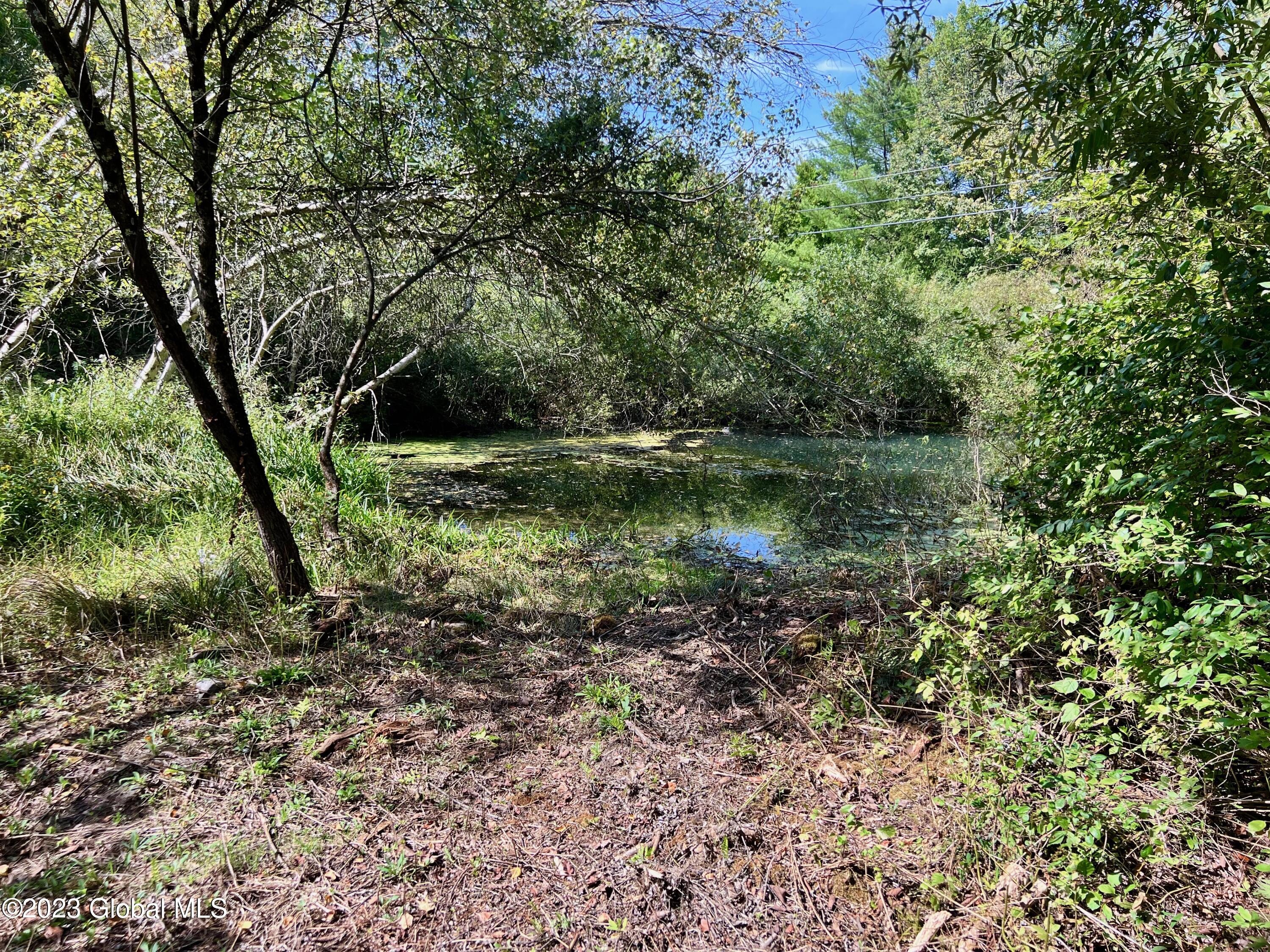 0 Pickle Hill Road Queensbury, NY 12804 - Photo 7 of 48 IMG_1572