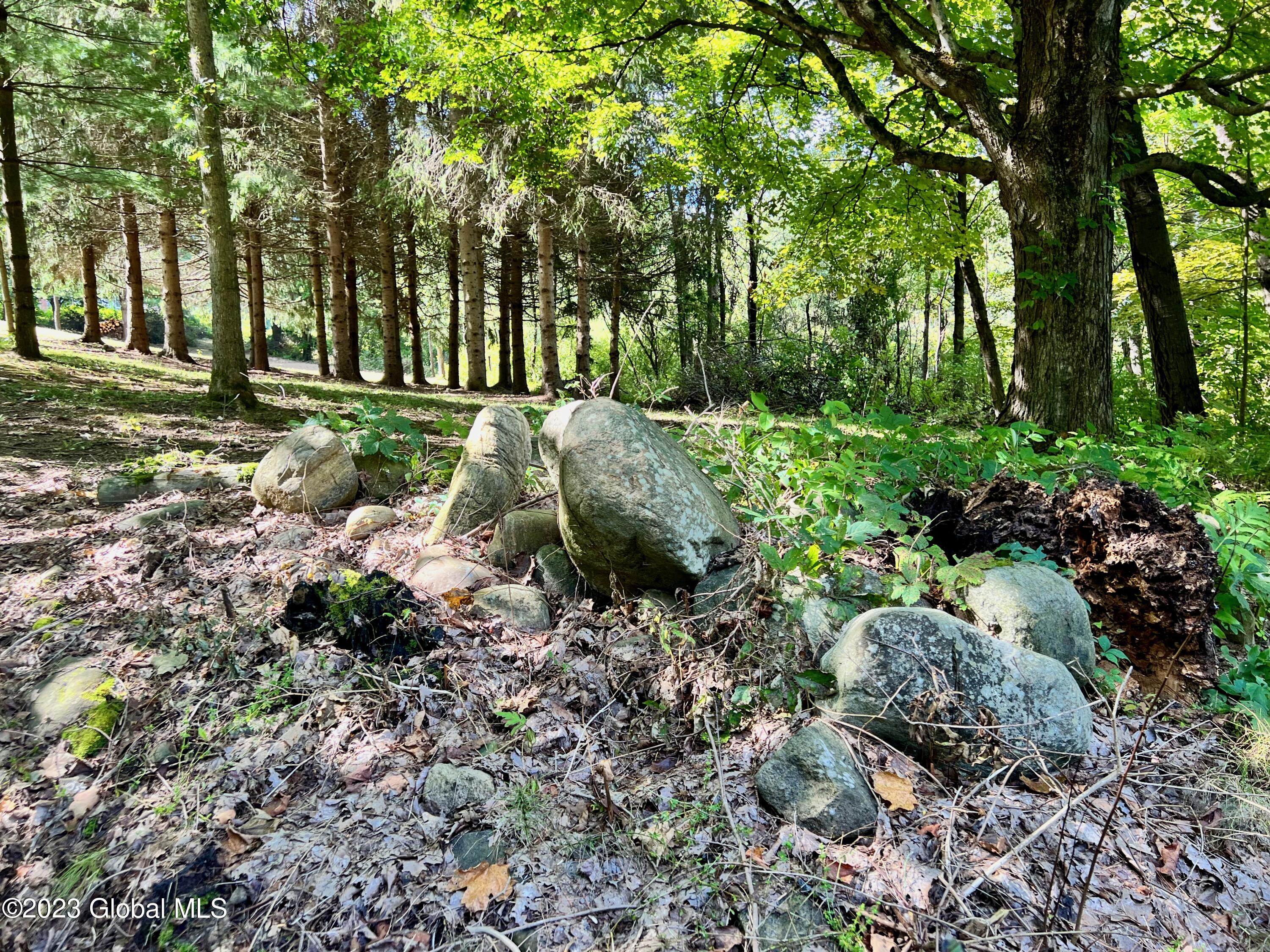 0 Pickle Hill Road Queensbury, NY 12804 - Photo 9 of 48 IMG_1416