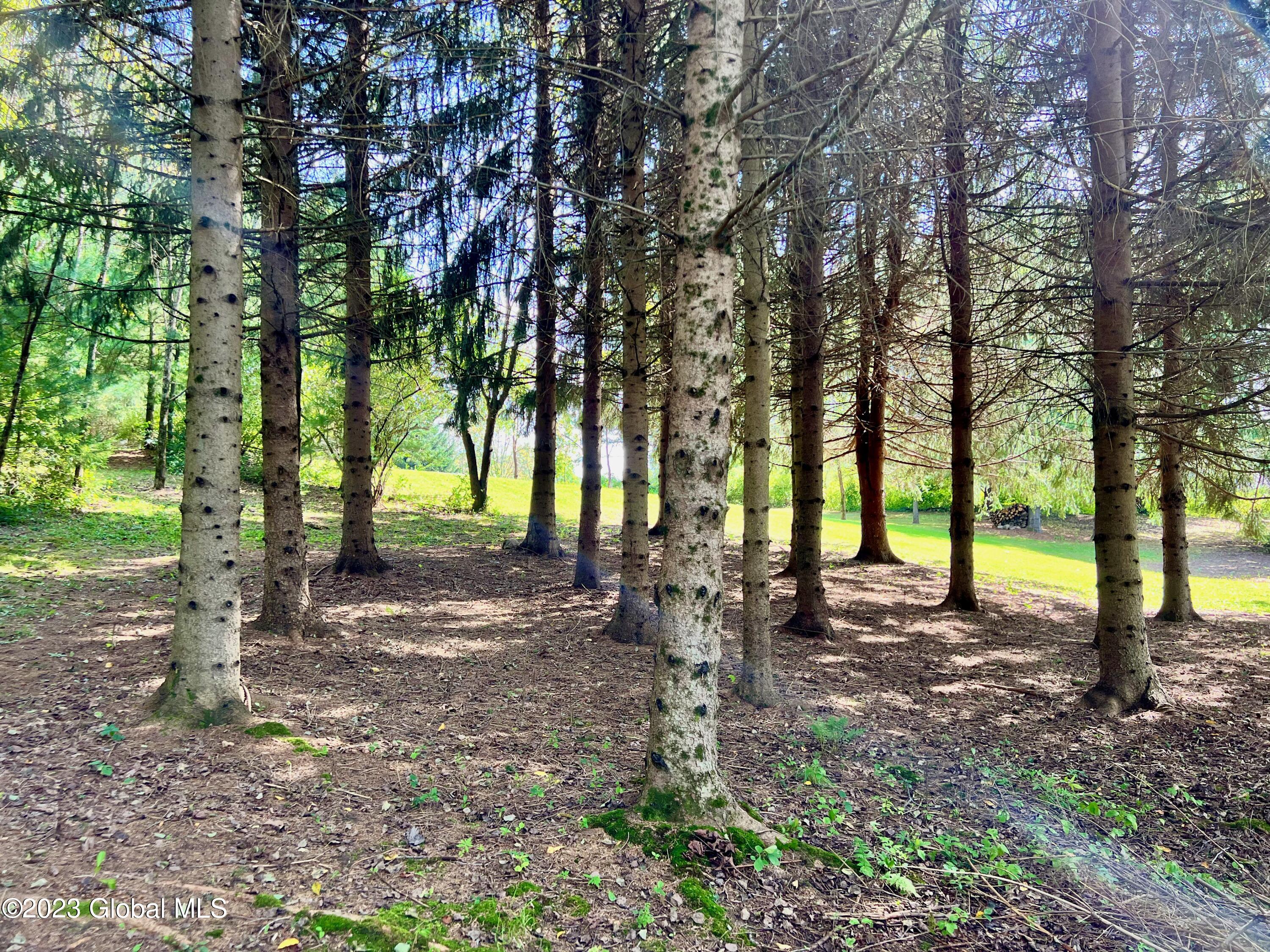 0 Pickle Hill Road Queensbury, NY 12804 - Photo 10 of 48 IMG_1532