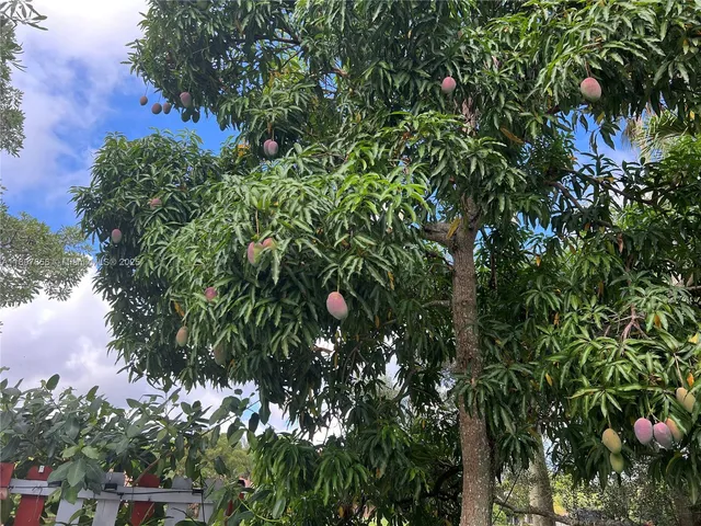 $3,000 | 1544 Springside Drive, Weston, FL 33326