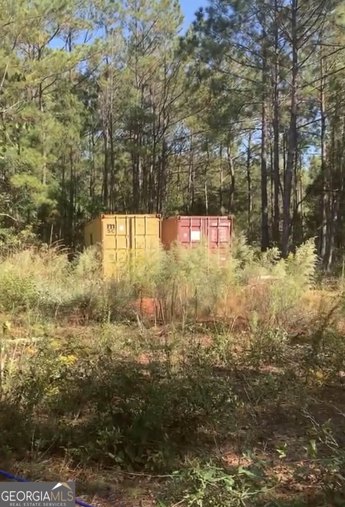 29 Tarpley Road Danville, GA 31017 - Photo 5 of 6 a view of yard