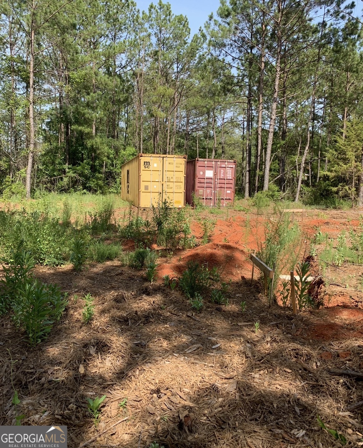 29 Tarpley Road Danville, GA 31017 - Photo 6 of 6 a backyard of a house with lots of green space