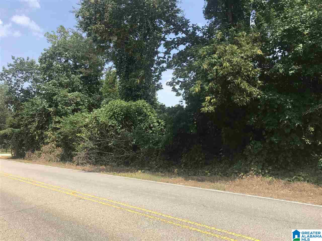 River Bend Road, Unit 4 Northport, AL 35475 - Photo 8 of 8