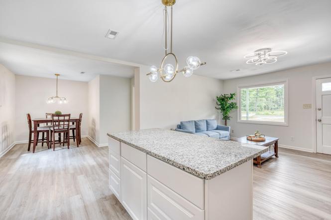 1091 Spring Plains Road Cross, SC 29436 - Photo 6 of 17 genMid.24023030_10_1X