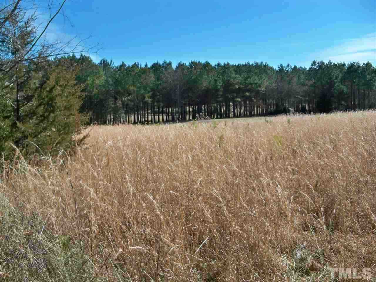 Perry Road Zebulon, NC 27597 - Photo 6 of 9 Photo 6