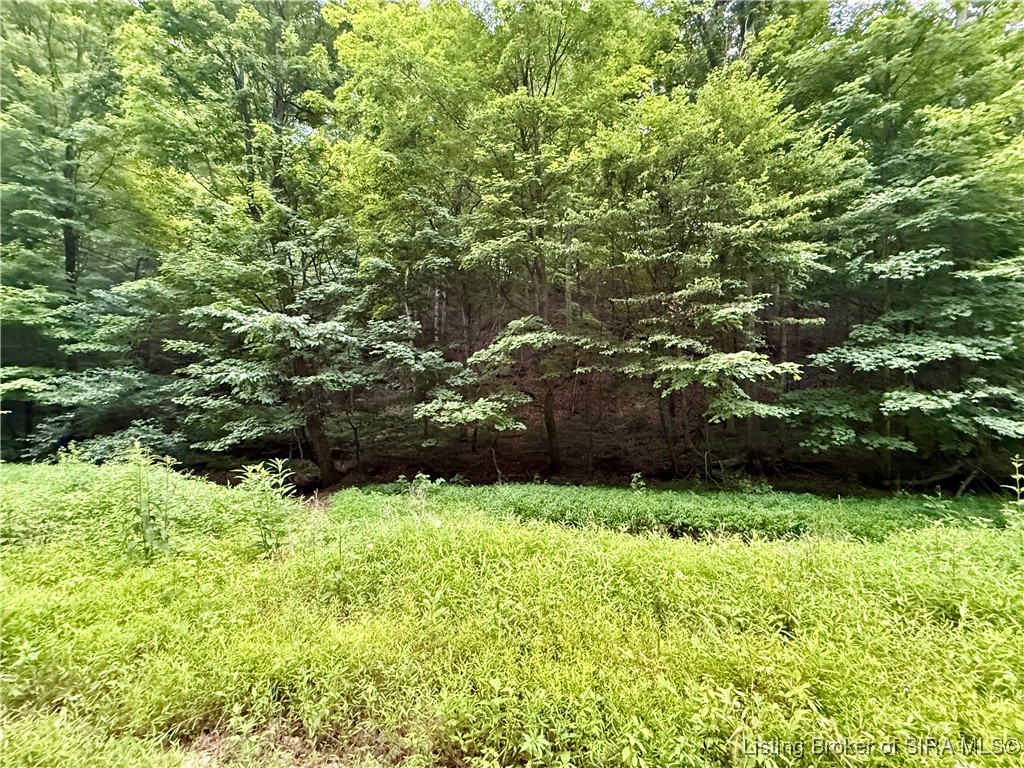 2032 West Goat Hollow Road Vallonia, IN 47281 - Photo 4 of 39