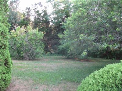 105 Lawton Road Eastham, MA 02642 - Photo 8 of 10 Additional Photo