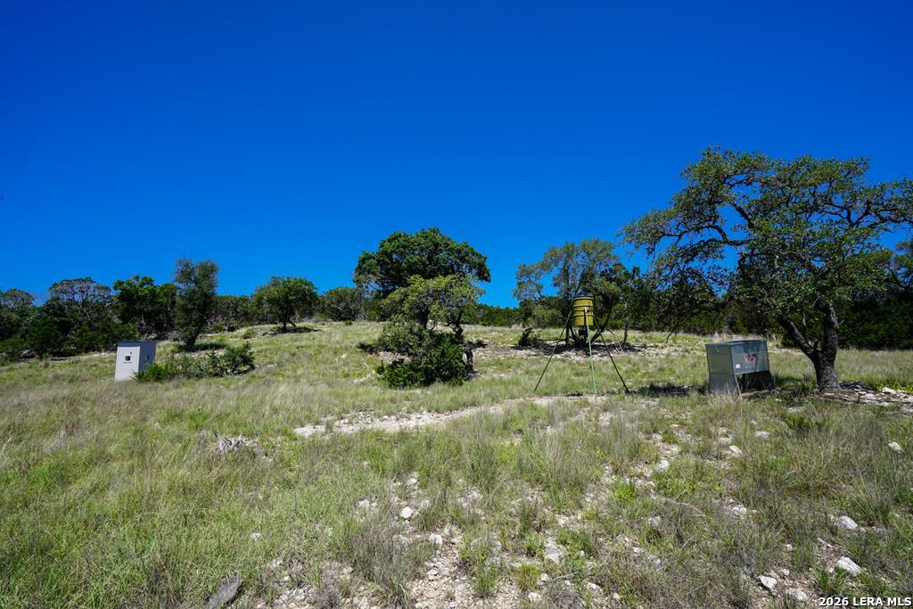204 Wilson Rand Road Hunt, TX 78024 - Photo 6 of 46