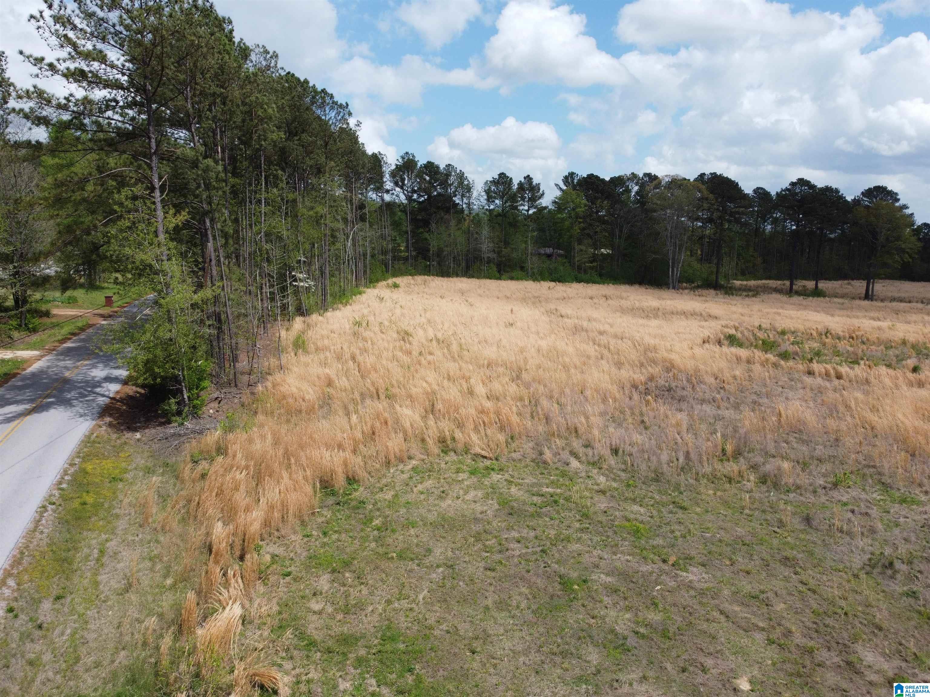 0 Greensport Road Ashville, AL 35953 - Photo 22 of 43