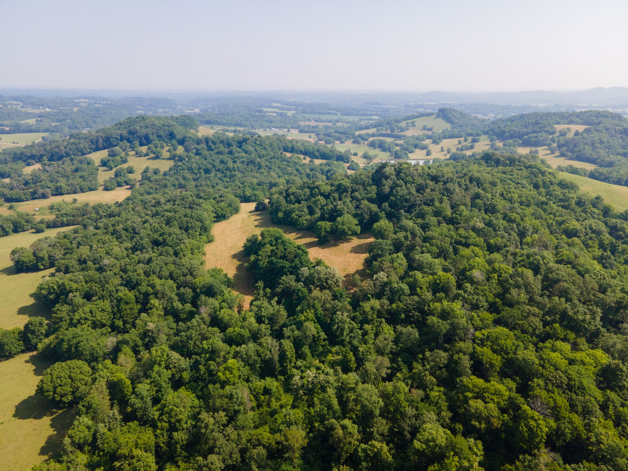 3075 Demastus Road Culleoka, TN 38451 - Photo 19 of 29 Gallery Image 19