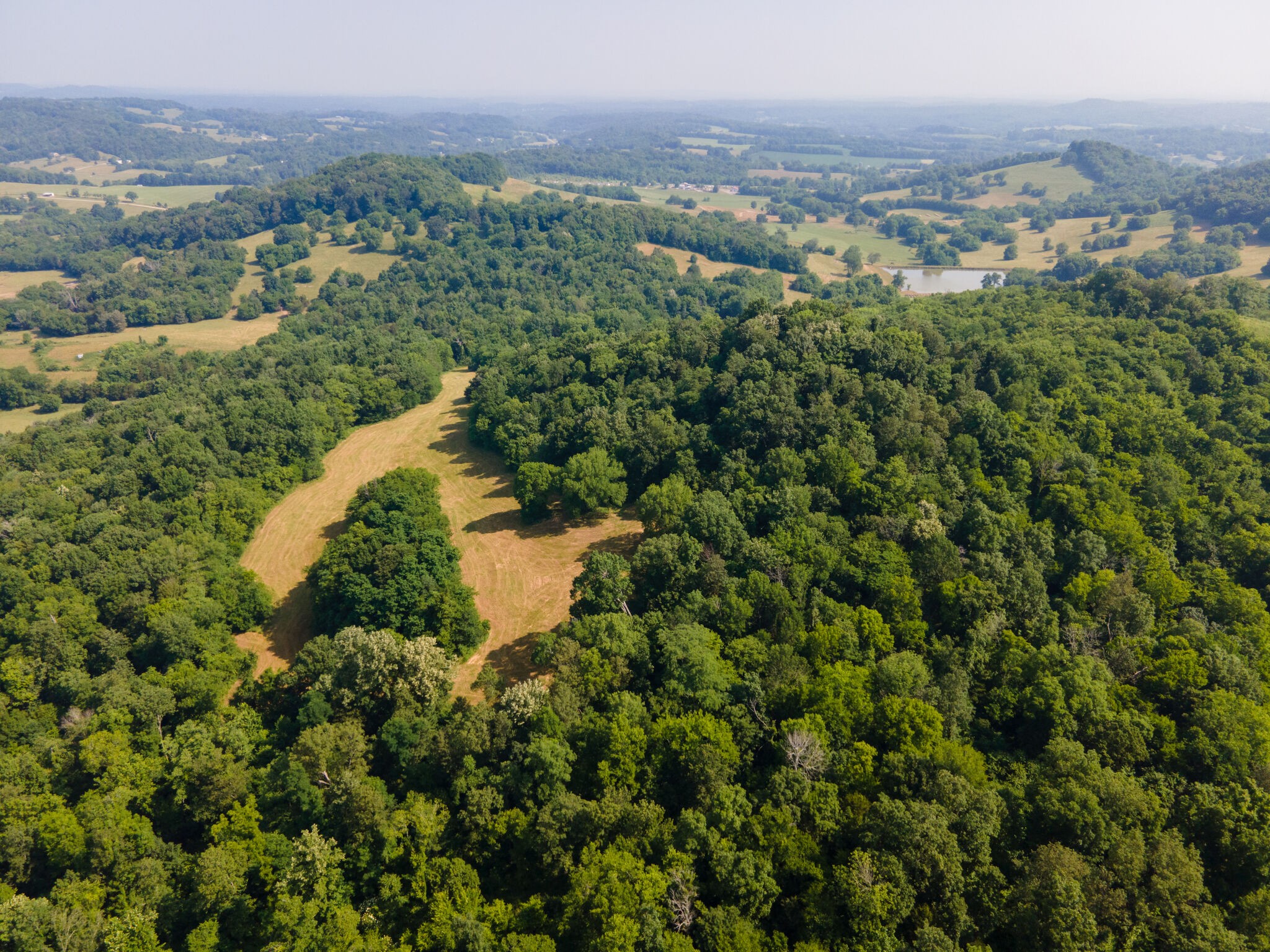 3075 Demastus Road Culleoka, TN 38451 - Photo 20 of 29 Gallery Image 20