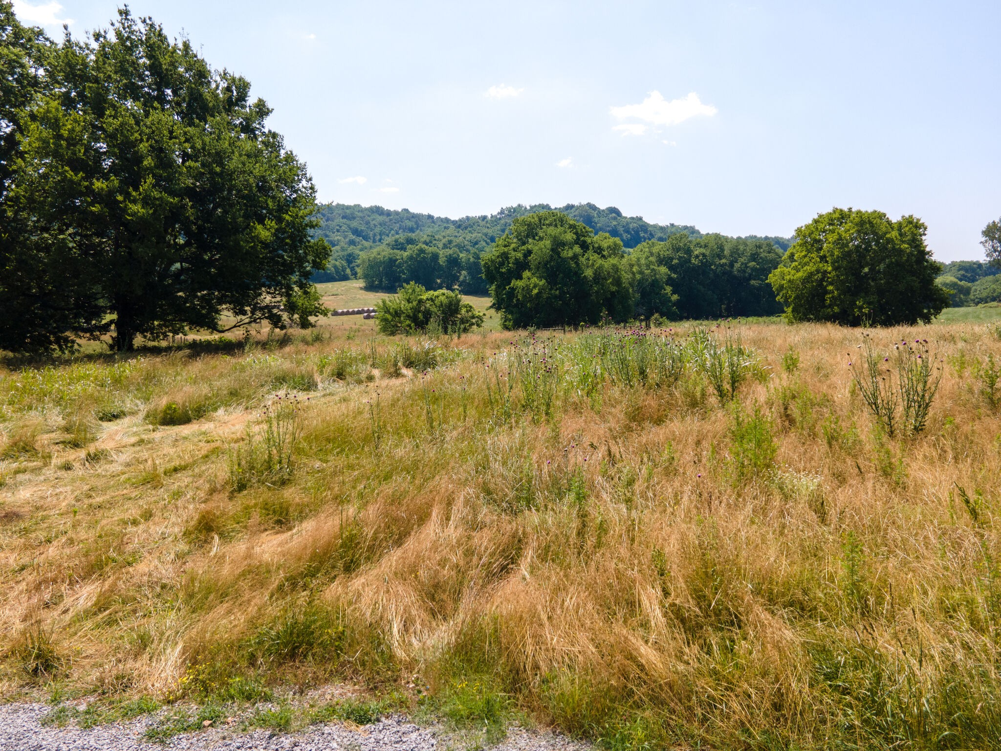 3075 Demastus Road Culleoka, TN 38451 - Photo 29 of 29 Gallery Image 29