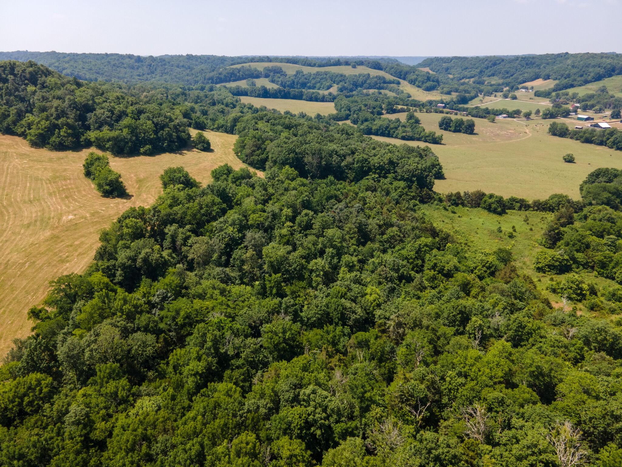 3075 Demastus Road Culleoka, TN 38451 - Photo 10 of 29 Gallery Image 10