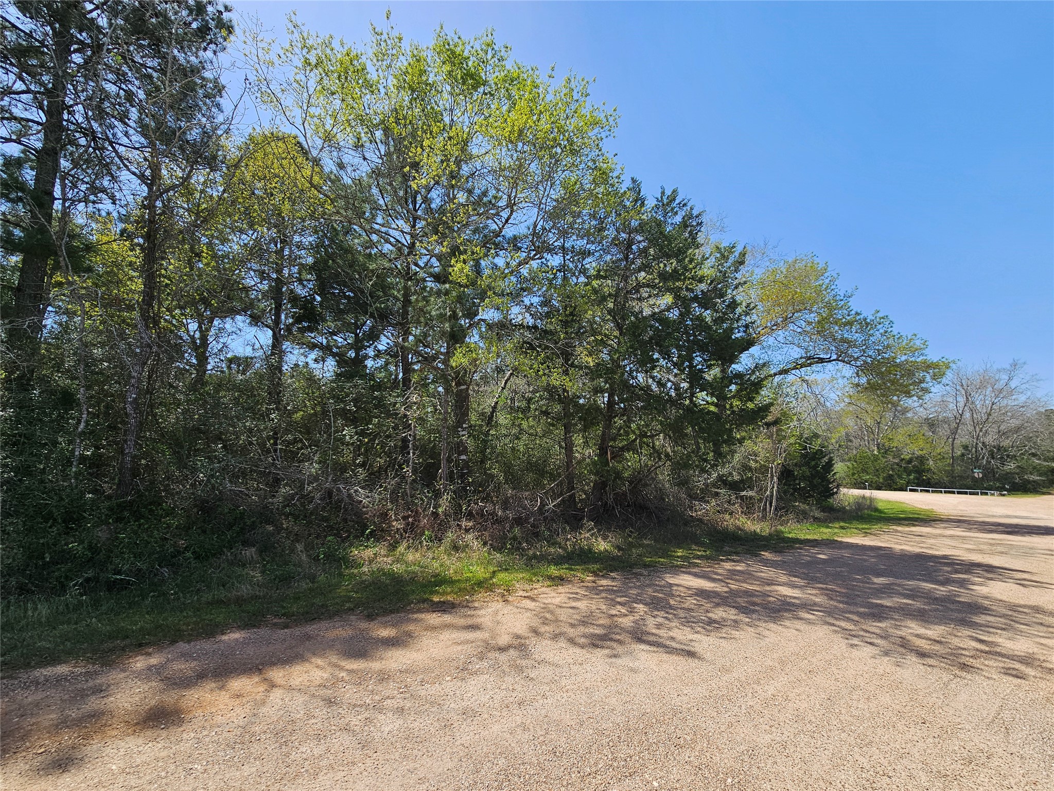 0 Park View Drive Hempstead, TX 77445 - Photo 3 of 9 a pathway of a yard