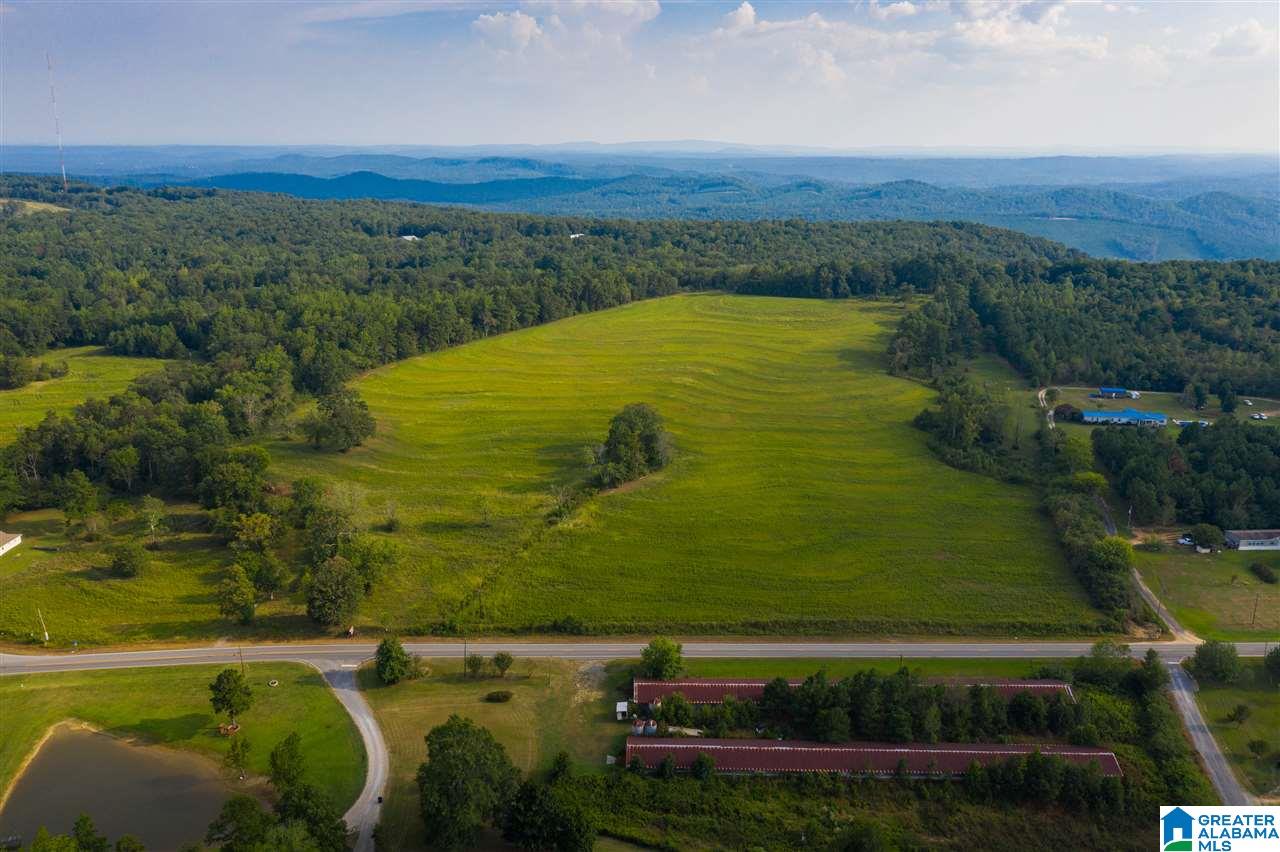 0 County Road 27, Unit 46 ACRES Springville, AL 35146 - Photo 6 of 11