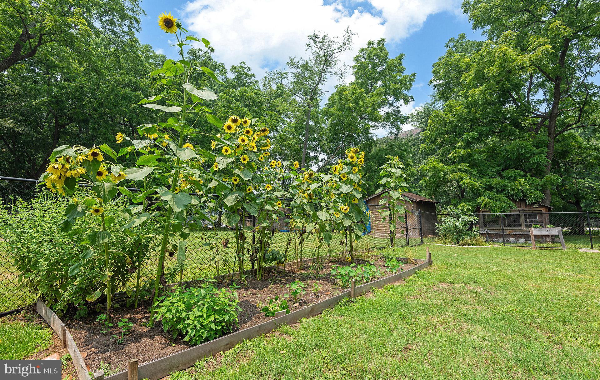 8316 Dock Road Pasadena, MD 21122 - Photo 55 of 74 Gallery Image 55