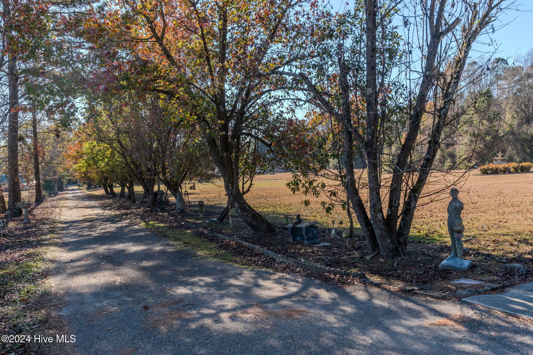 871 Pasture Branch Road Rose Hill, NC 28458 - Photo 14 of 63 85-web-or-mls-871 Pasture Branch-185