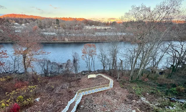 a view of a backyard with large trees