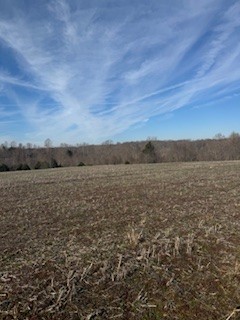 2222 Oak Knob Road Lafayette, TN 37083 - Photo 11 of 13 Gallery Image 11
