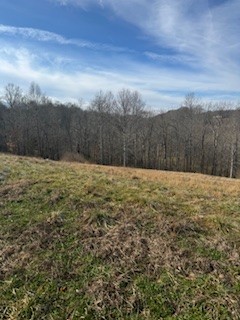 2222 Oak Knob Road Lafayette, TN 37083 - Photo 12 of 13 Gallery Image 12