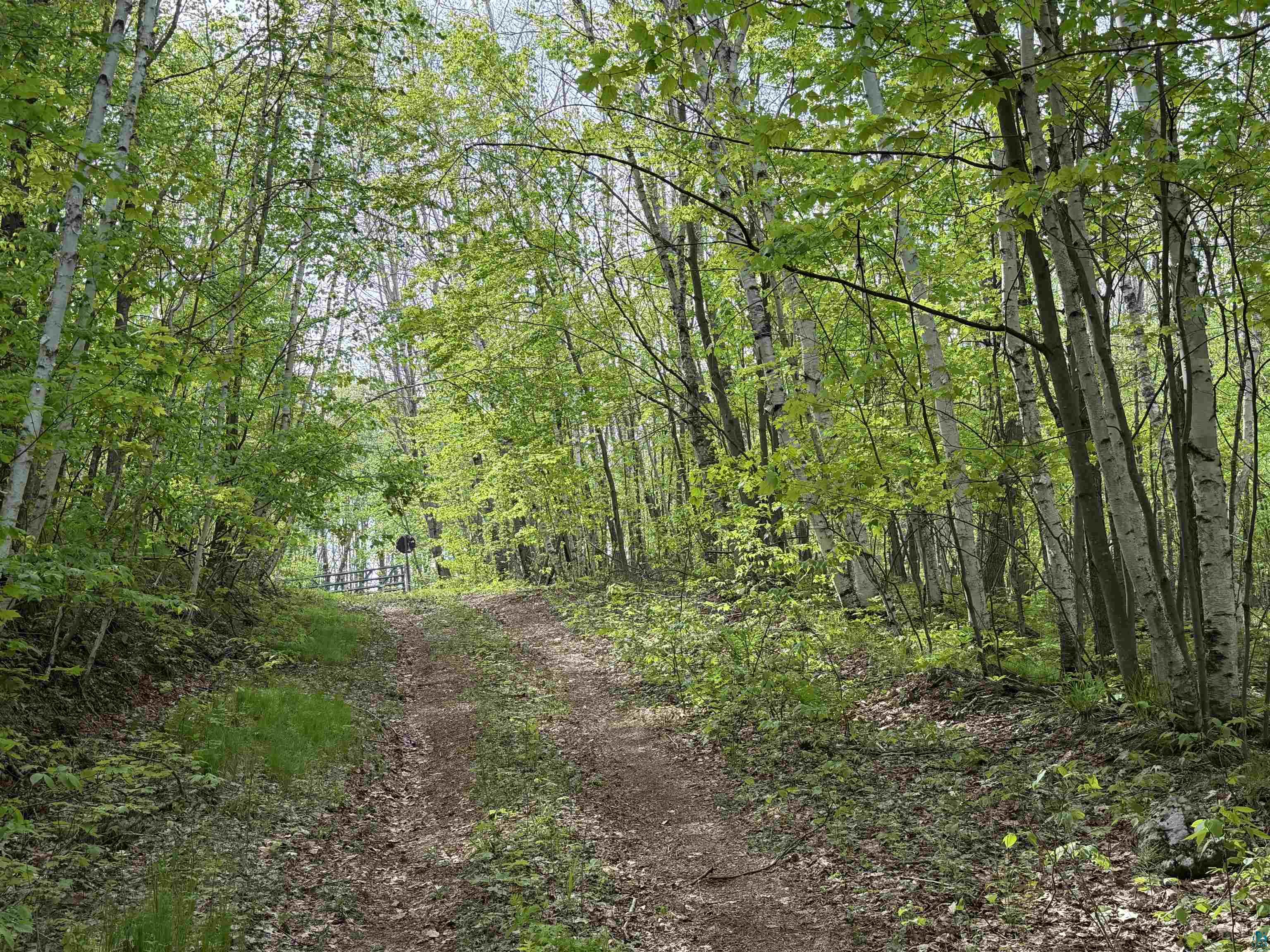 Lot 4 Peterson Road Minong, WI 54859 - Photo 5 of 7