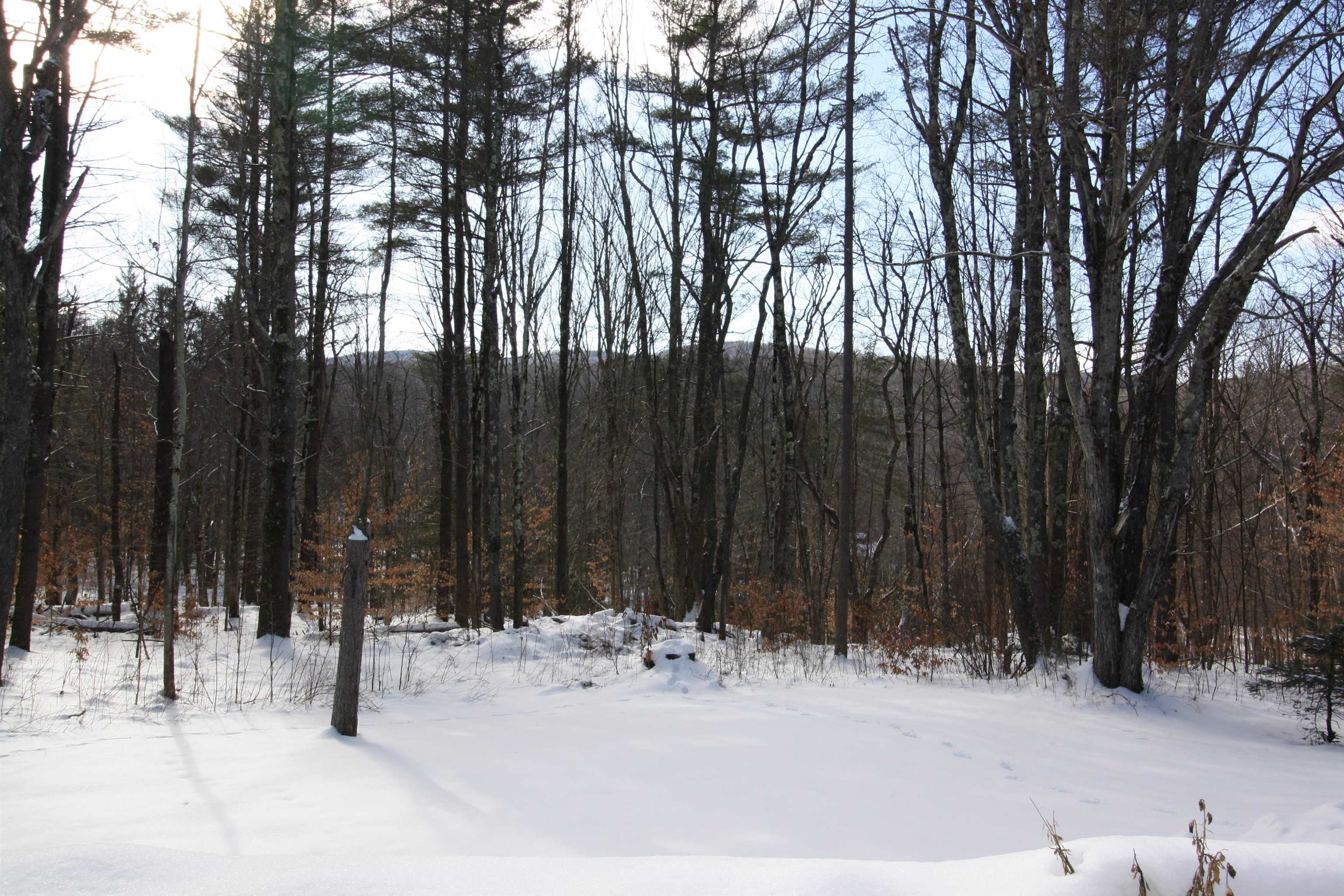 138 Maiden Lane Ripton, VT 05766 - Photo 6 of 28