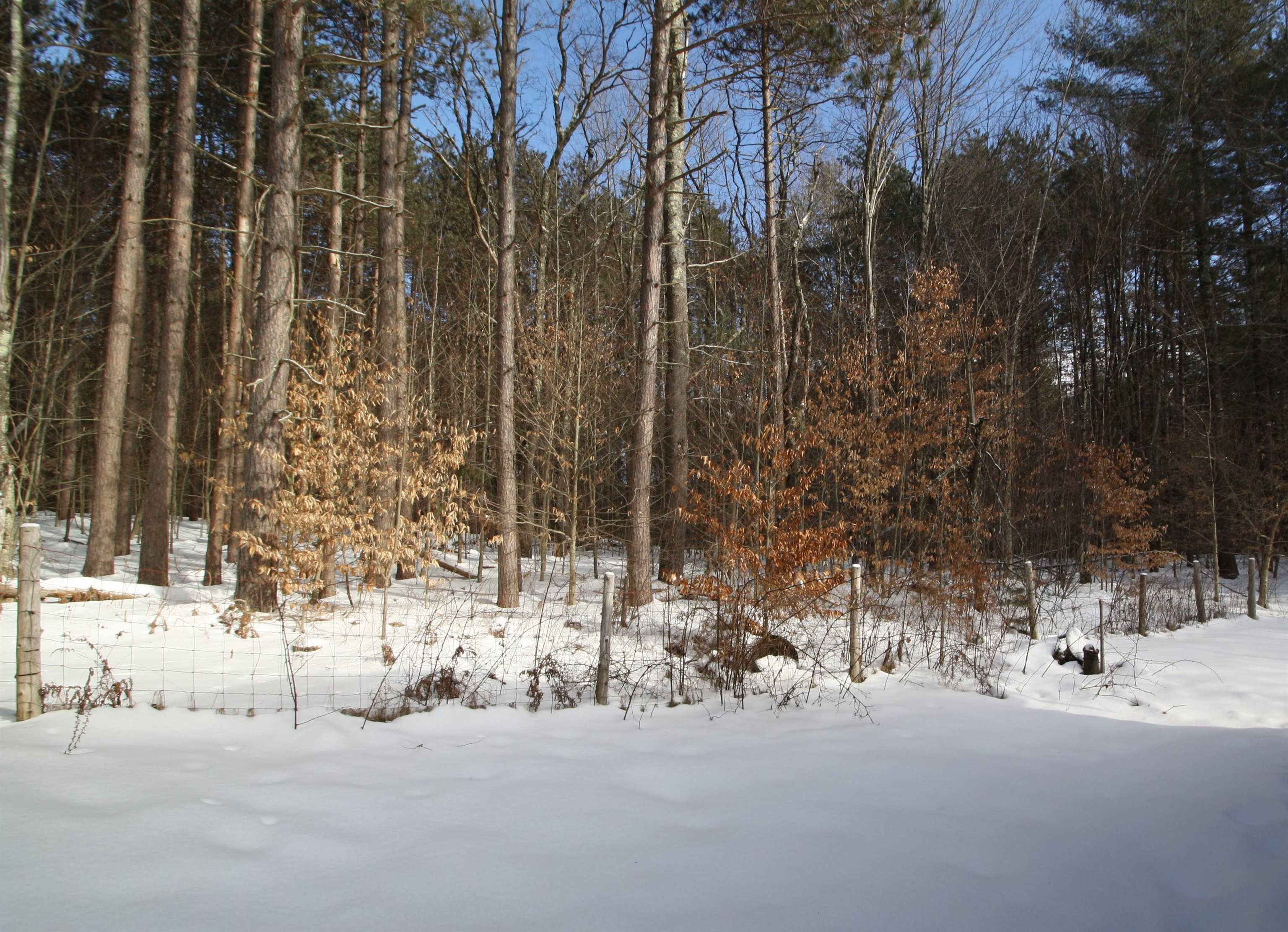 138 Maiden Lane Ripton, VT 05766 - Photo 7 of 28