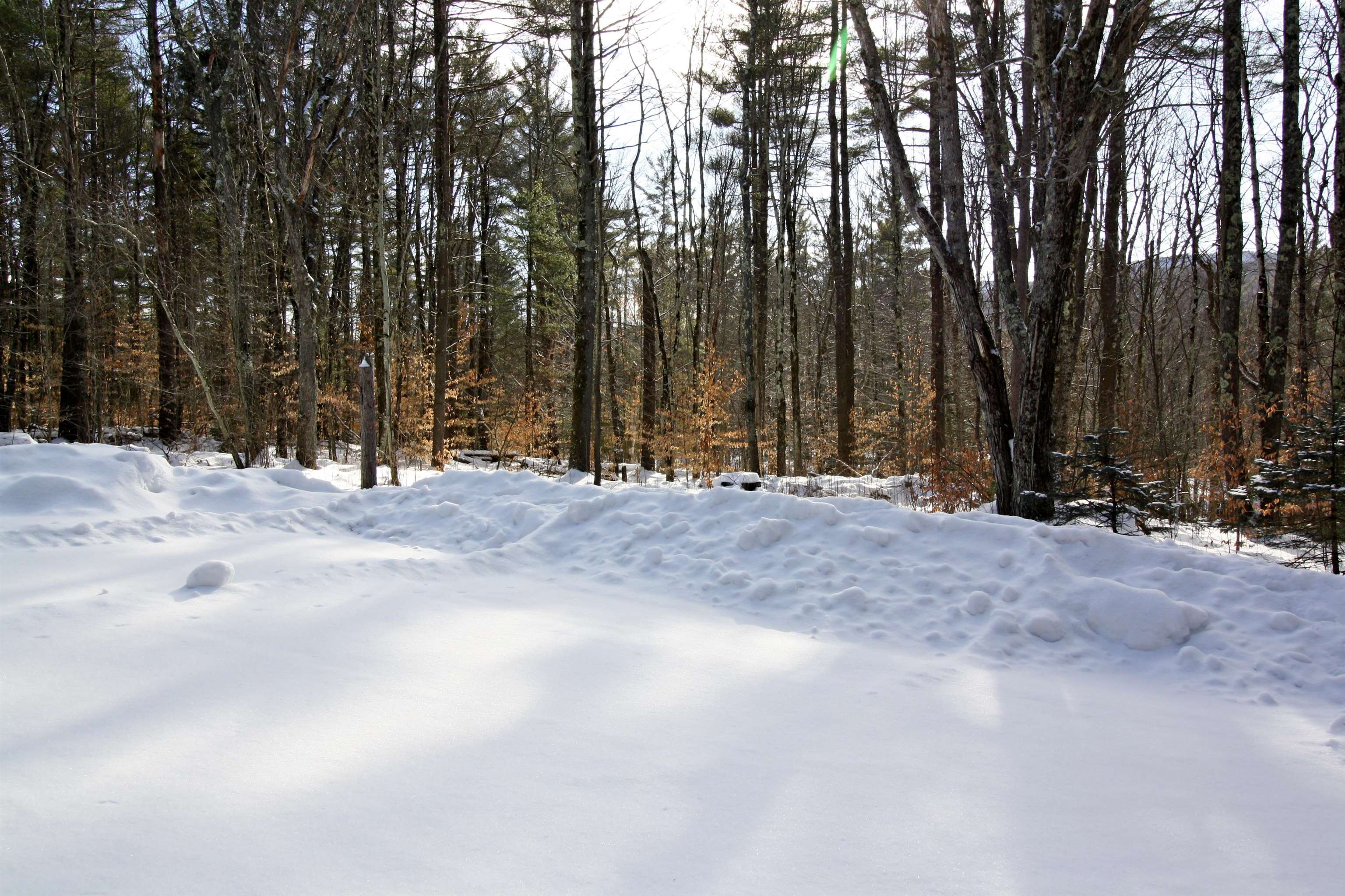 138 Maiden Lane Ripton, VT 05766 - Photo 8 of 28