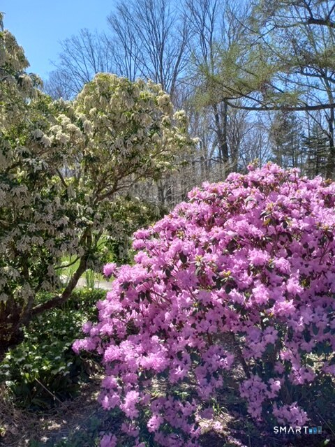 1 Reservoir Road Newtown, CT 06470 - Photo 35 of 37