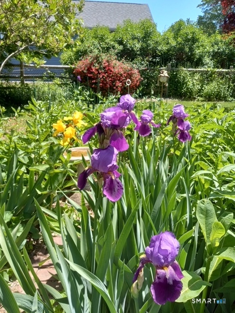 1 Reservoir Road Newtown, CT 06470 - Photo 36 of 37