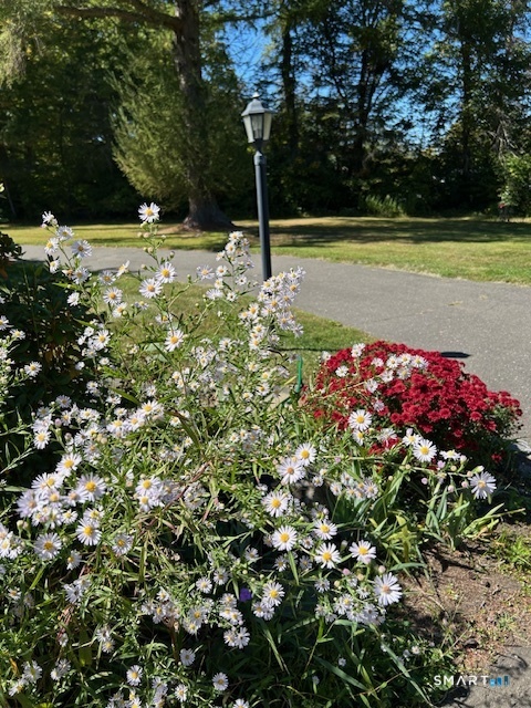 1 Reservoir Road Newtown, CT 06470 - Photo 37 of 37