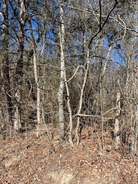 0 Banther Road Harrison, TN 37341 - Photo 1 of 1 Gallery Image 1