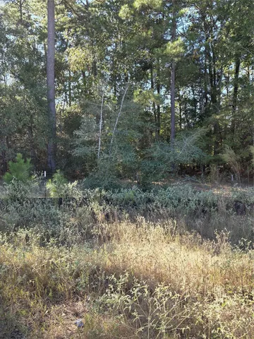 a view of a yard with large trees