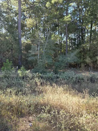 $1,800 | 632 Craven Street, Montgomery, TX 77316