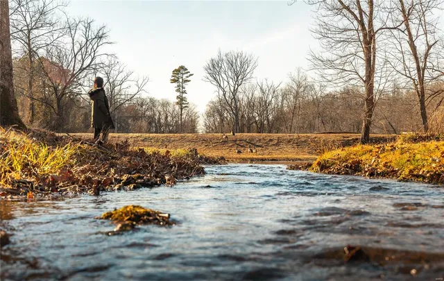 $1,600,000 | 4247 Wayne Rte Hh, Piedmont, MO 63957