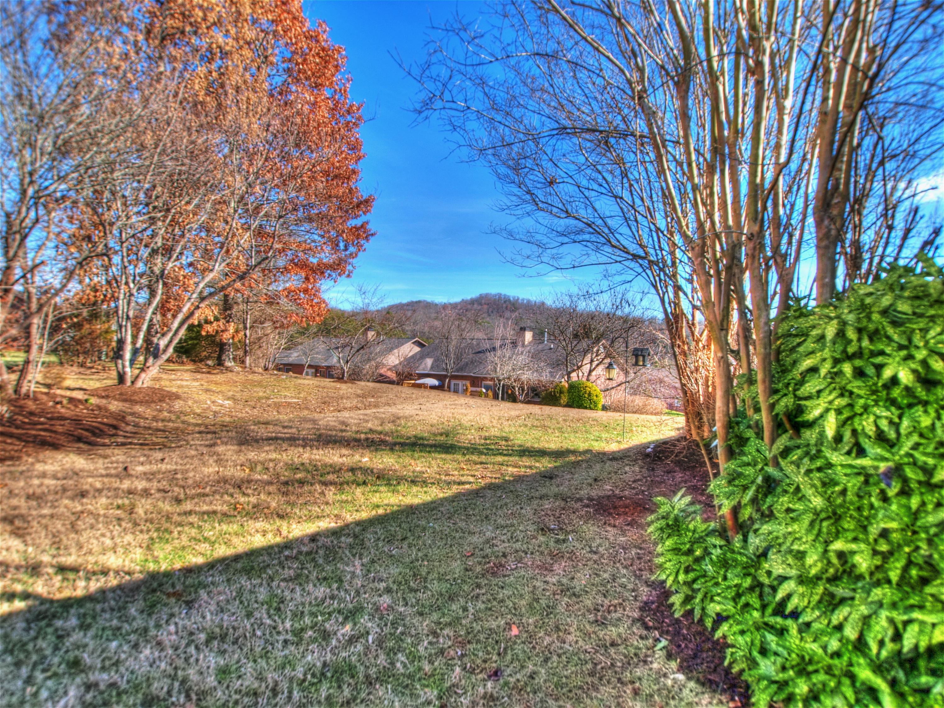 64 Riverview Drive Oak Ridge, TN 37830 - Photo 11 of 33 Back yard