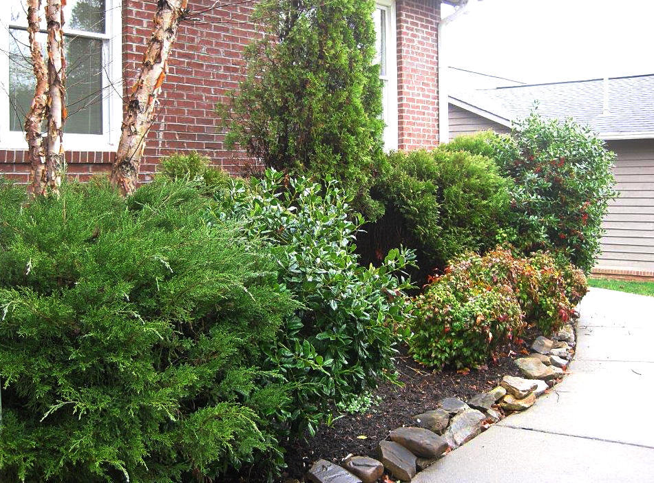 64 Riverview Drive Oak Ridge, TN 37830 - Photo 3 of 33 Sidewalk - owner photo