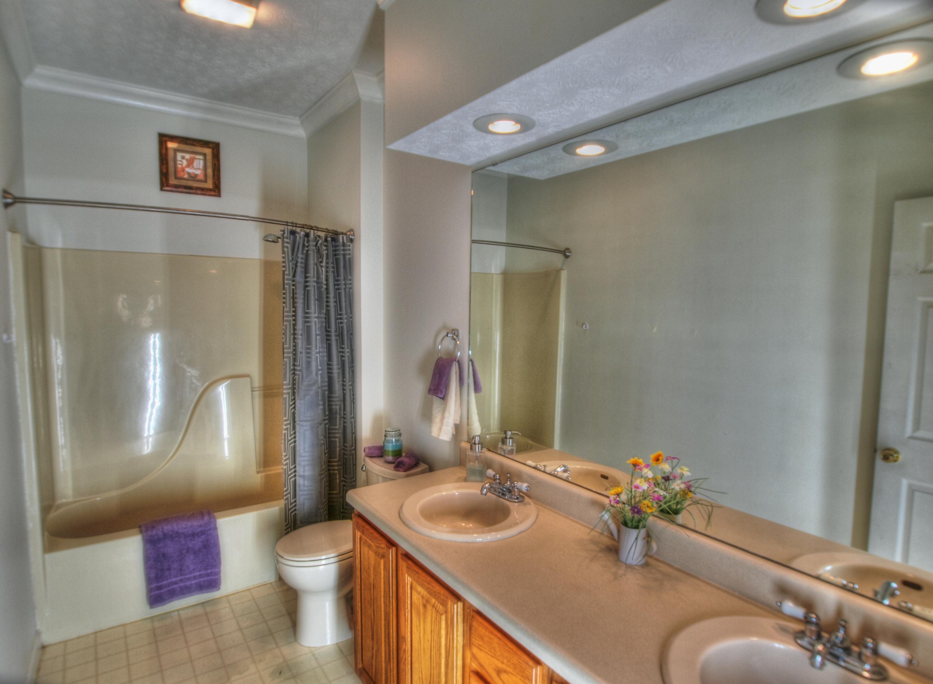 64 Riverview Drive Oak Ridge, TN 37830 - Photo 21 of 33 Master bath