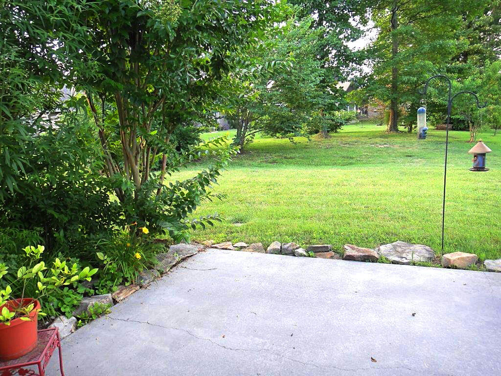 64 Riverview Drive Oak Ridge, TN 37830 - Photo 8 of 33 View from patio - owner photo