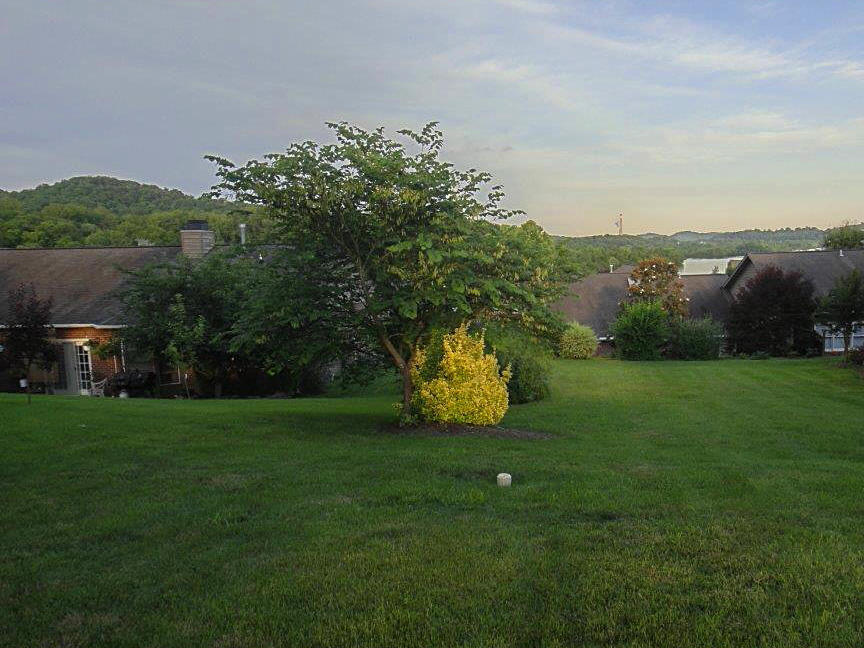 64 Riverview Drive Oak Ridge, TN 37830 - Photo 10 of 33 Views - owner photo